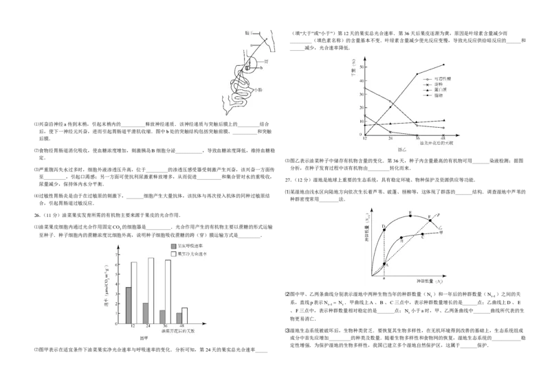 2015年高考真题生物（山东卷）（解析版）_全国卷+地方卷_6.生物_1.生物高考真题试卷_2008-2020年_地方卷_山东高考生物08-21_山东高考生物_A3版_pdf版