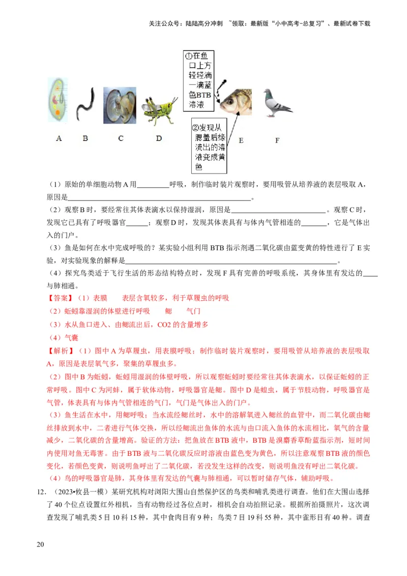 专题05生物的多样性及其保护（解析版）_02中考总复习（2026版更新中）_08-生物-中考总复习_2024年中考复习资料_专项复习_备战2024年中考生物真题题源解密