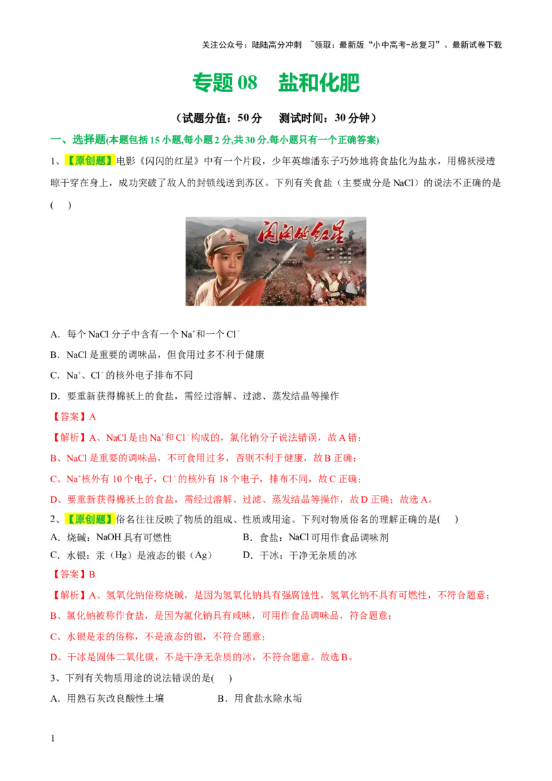 专题08盐化肥（测试）-2024年中考化学一轮复习讲练测（全国通用）（解析版）_02中考总复习（2026版更新中）_05-化学-中考总复习_2024年中考复习资料_一轮复习资料