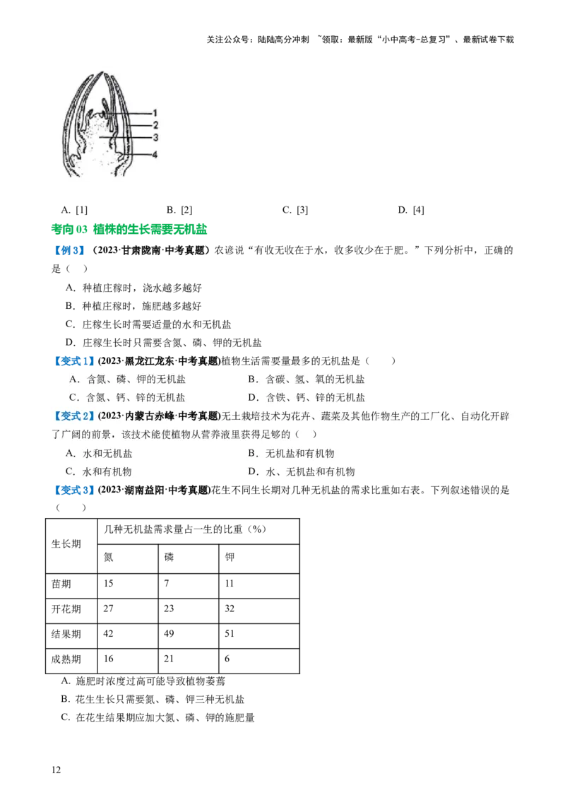 专题05被子植物的一生（讲义）（原卷版）_02中考总复习（2026版更新中）_08-生物-中考总复习_2024年中考复习资料_一轮复习_❤2024年中考生物一轮复习讲练测（全国通用）_讲义