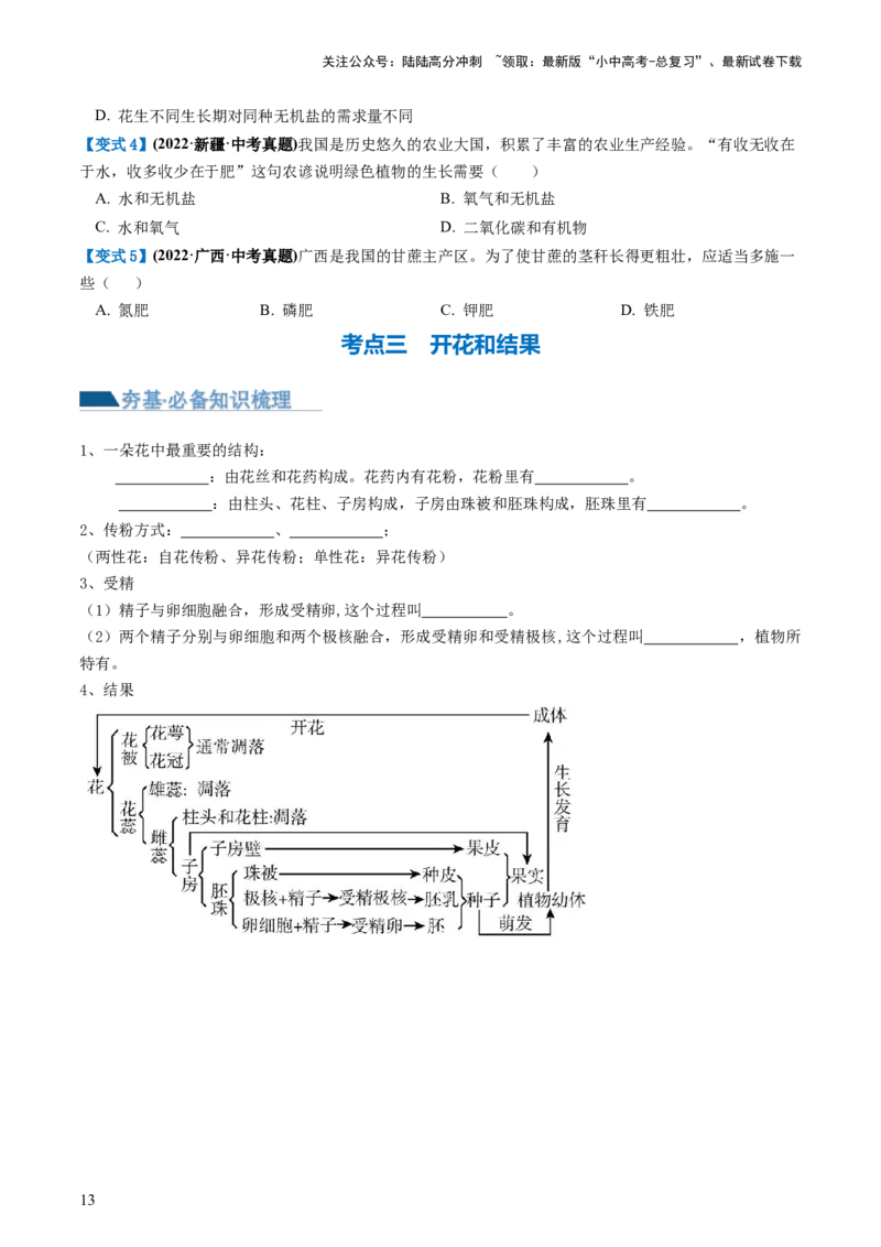 专题05被子植物的一生（讲义）（原卷版）_02中考总复习（2026版更新中）_08-生物-中考总复习_2024年中考复习资料_一轮复习_❤2024年中考生物一轮复习讲练测（全国通用）_讲义