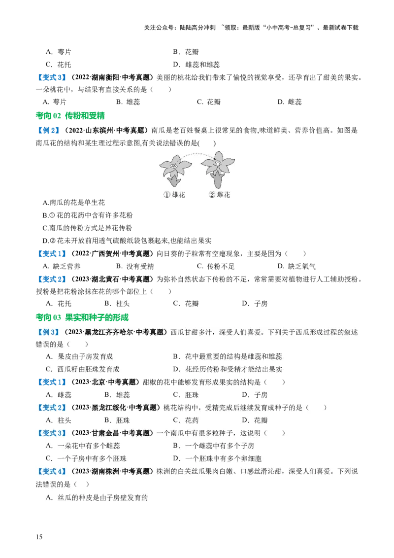 专题05被子植物的一生（讲义）（原卷版）_02中考总复习（2026版更新中）_08-生物-中考总复习_2024年中考复习资料_一轮复习_❤2024年中考生物一轮复习讲练测（全国通用）_讲义