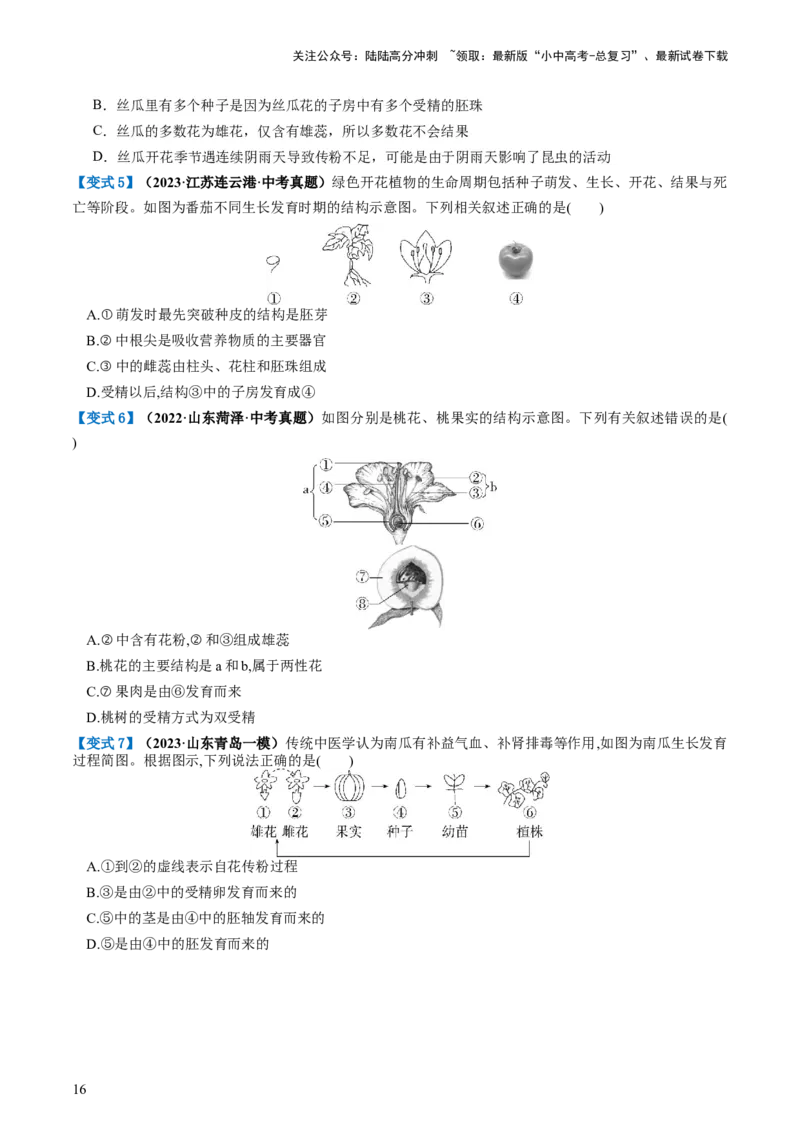 专题05被子植物的一生（讲义）（原卷版）_02中考总复习（2026版更新中）_08-生物-中考总复习_2024年中考复习资料_一轮复习_❤2024年中考生物一轮复习讲练测（全国通用）_讲义