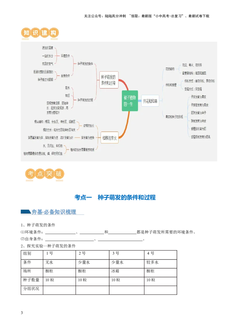 专题05被子植物的一生（讲义）（原卷版）_02中考总复习（2026版更新中）_08-生物-中考总复习_2024年中考复习资料_一轮复习_❤2024年中考生物一轮复习讲练测（全国通用）_讲义