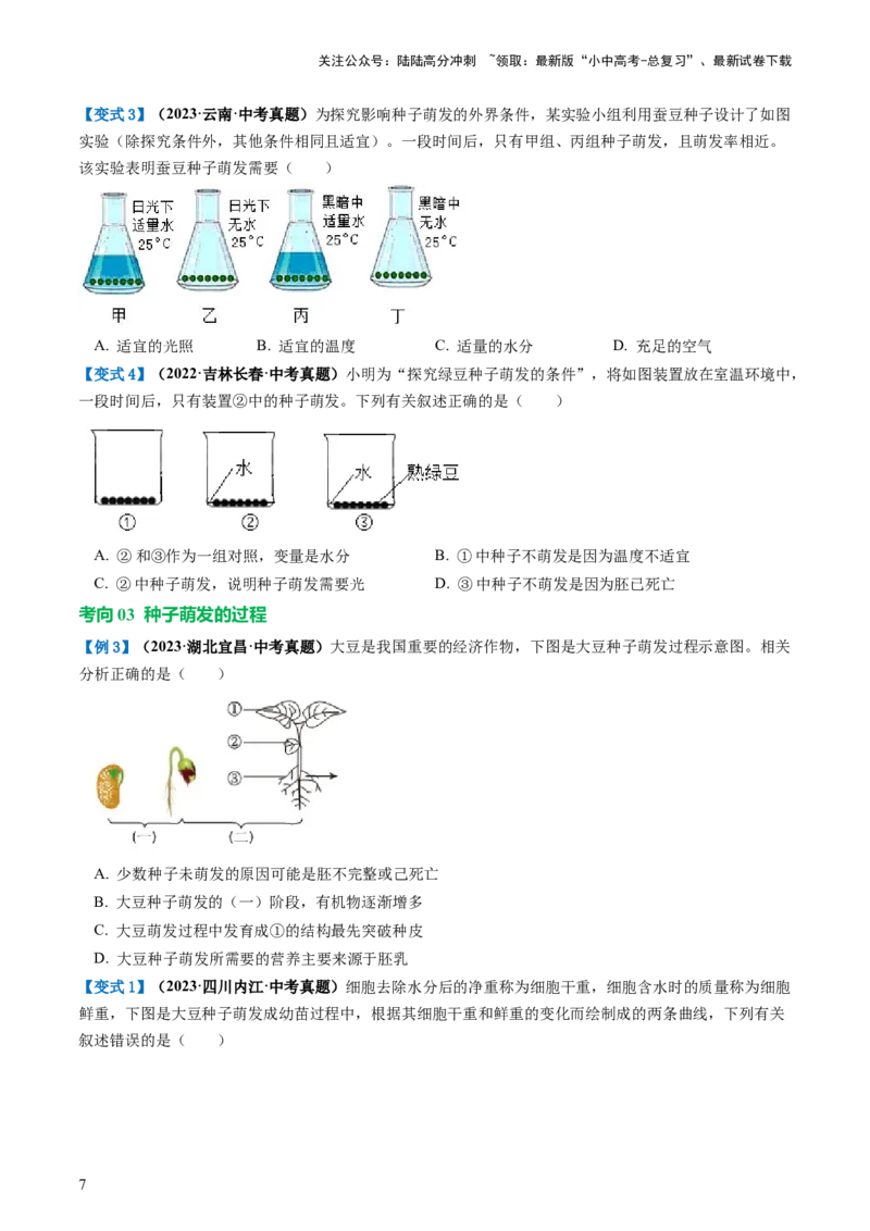 专题05被子植物的一生（讲义）（原卷版）_02中考总复习（2026版更新中）_08-生物-中考总复习_2024年中考复习资料_一轮复习_❤2024年中考生物一轮复习讲练测（全国通用）_讲义