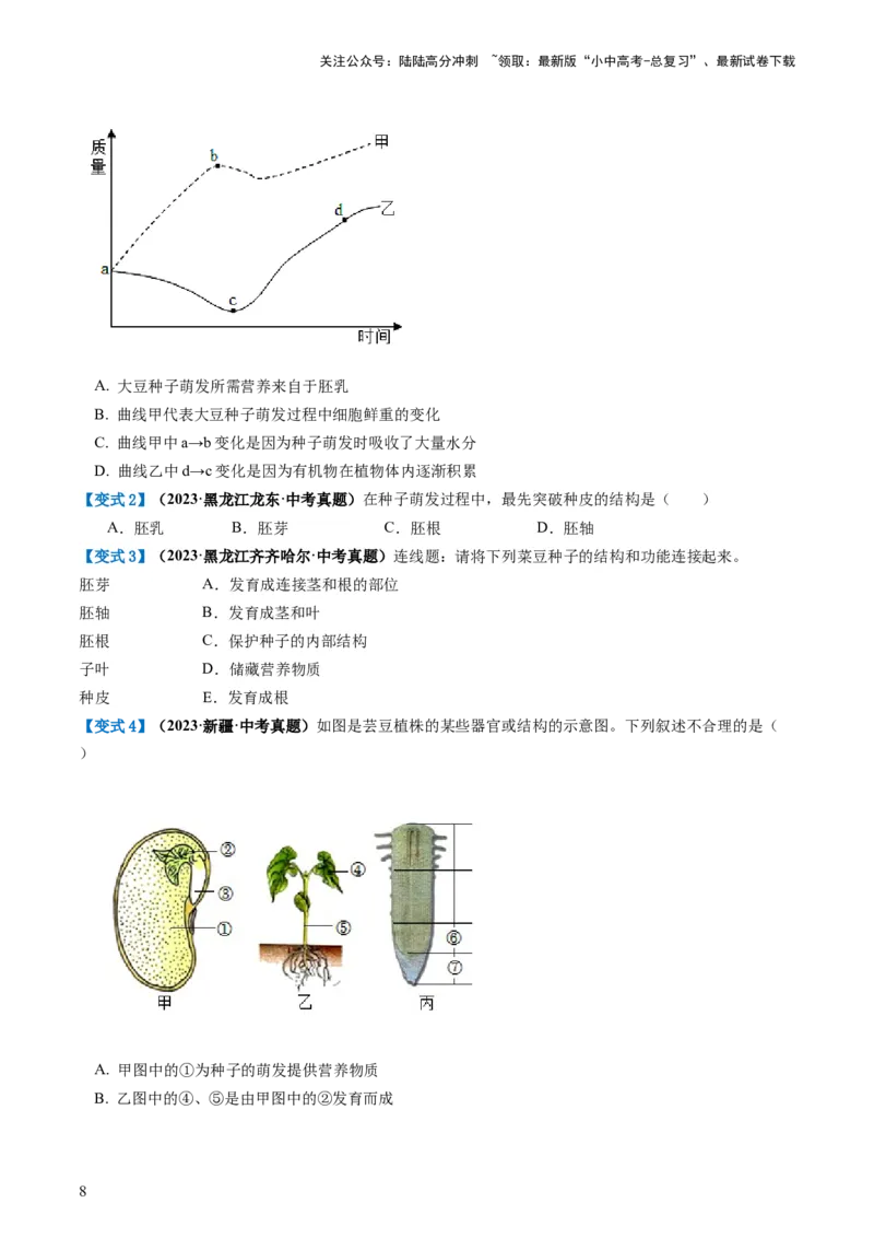 专题05被子植物的一生（讲义）（原卷版）_02中考总复习（2026版更新中）_08-生物-中考总复习_2024年中考复习资料_一轮复习_❤2024年中考生物一轮复习讲练测（全国通用）_讲义