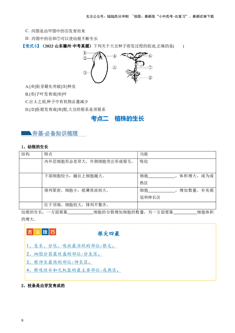 专题05被子植物的一生（讲义）（原卷版）_02中考总复习（2026版更新中）_08-生物-中考总复习_2024年中考复习资料_一轮复习_❤2024年中考生物一轮复习讲练测（全国通用）_讲义