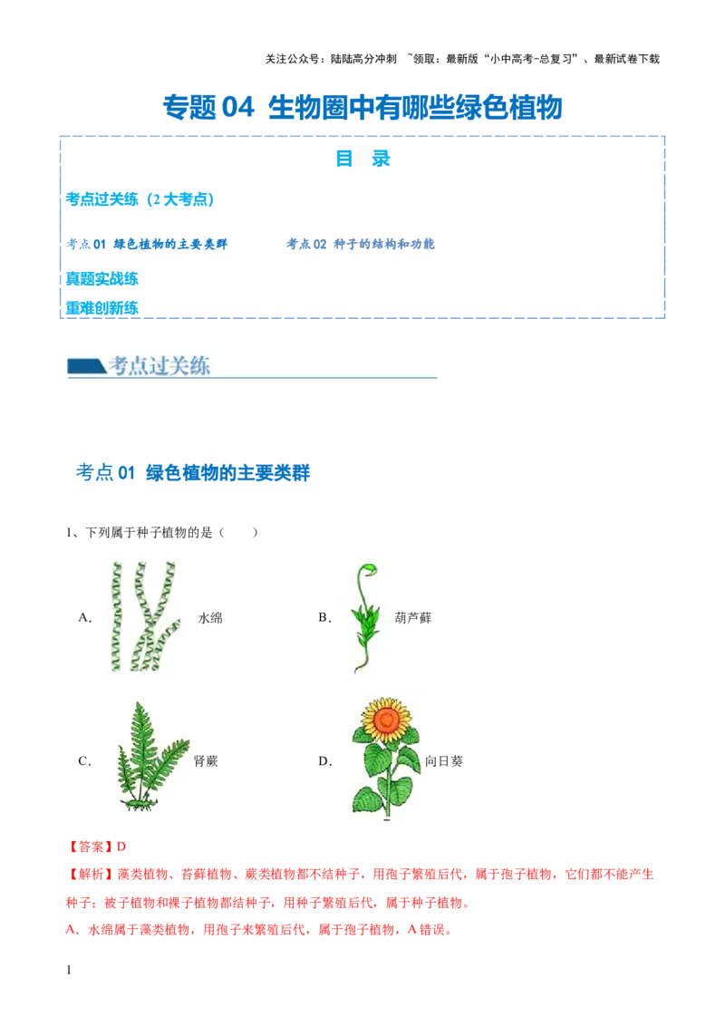 专题04生物圈中有哪些绿色植物（练习）（解析版）_02中考总复习（2026版更新中）_08-生物-中考总复习_2024年中考复习资料_一轮复习_❤2024年中考生物一轮复习讲练测（全国通用）_练习