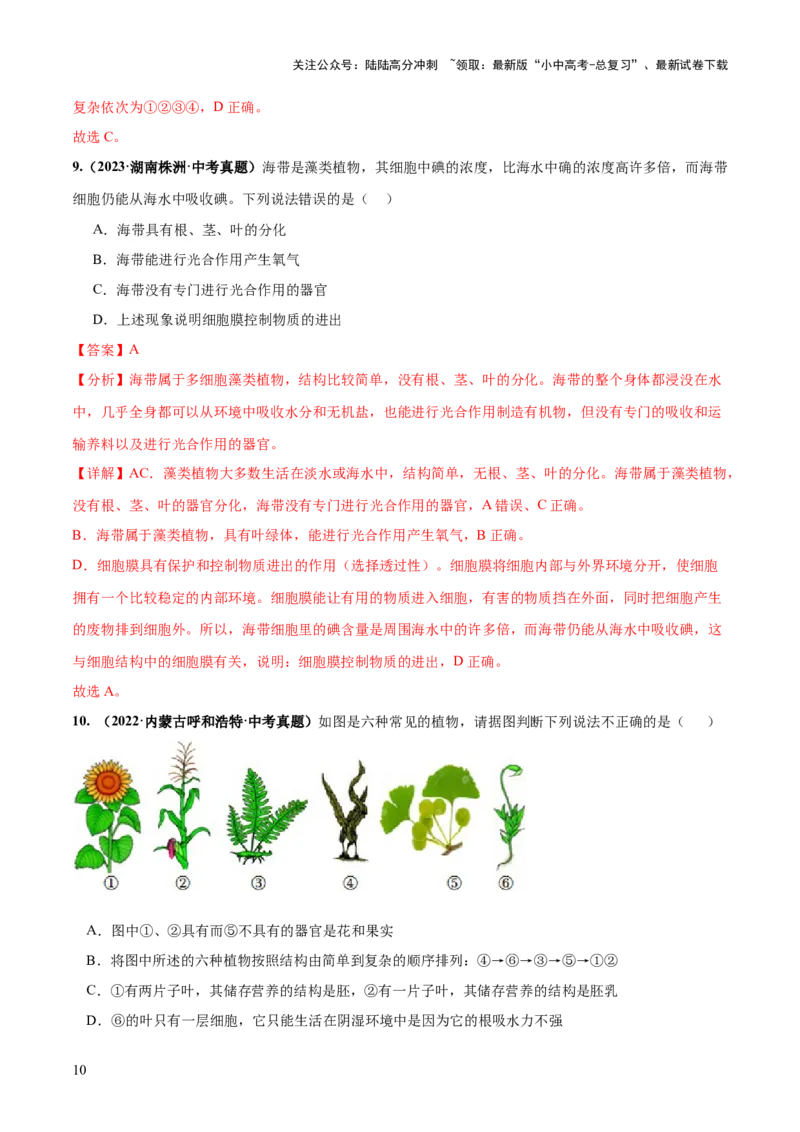 专题04生物圈中有哪些绿色植物（练习）（解析版）_02中考总复习（2026版更新中）_08-生物-中考总复习_2024年中考复习资料_一轮复习_❤2024年中考生物一轮复习讲练测（全国通用）_练习