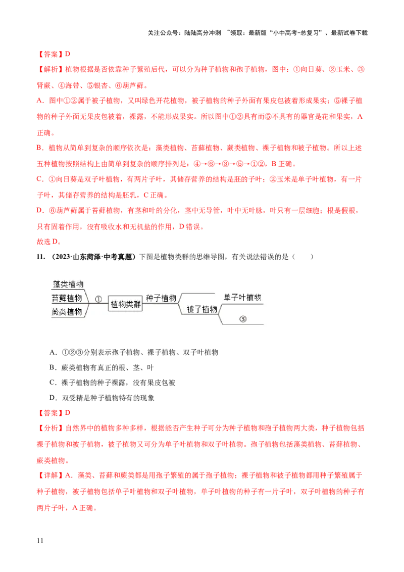 专题04生物圈中有哪些绿色植物（练习）（解析版）_02中考总复习（2026版更新中）_08-生物-中考总复习_2024年中考复习资料_一轮复习_❤2024年中考生物一轮复习讲练测（全国通用）_练习