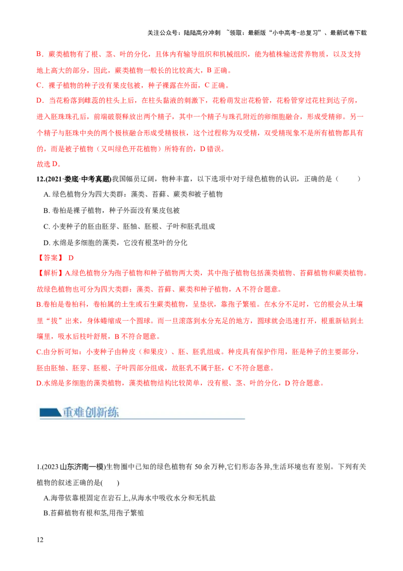 专题04生物圈中有哪些绿色植物（练习）（解析版）_02中考总复习（2026版更新中）_08-生物-中考总复习_2024年中考复习资料_一轮复习_❤2024年中考生物一轮复习讲练测（全国通用）_练习