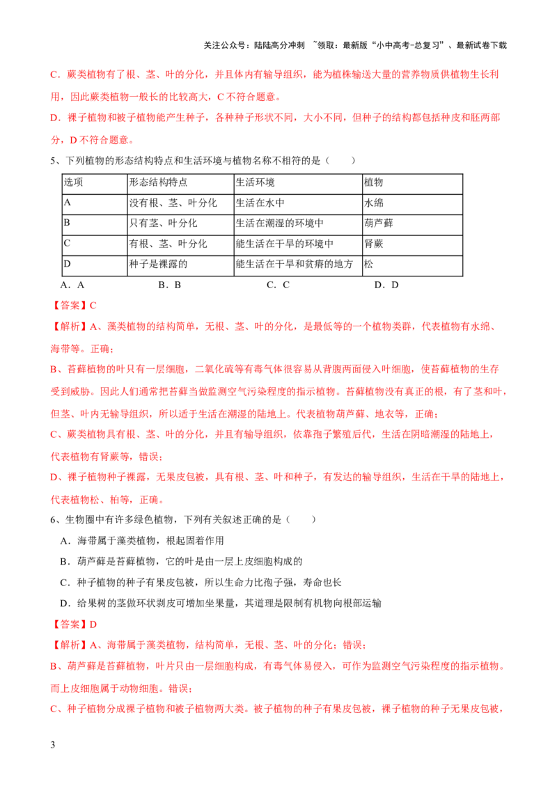 专题04生物圈中有哪些绿色植物（练习）（解析版）_02中考总复习（2026版更新中）_08-生物-中考总复习_2024年中考复习资料_一轮复习_❤2024年中考生物一轮复习讲练测（全国通用）_练习