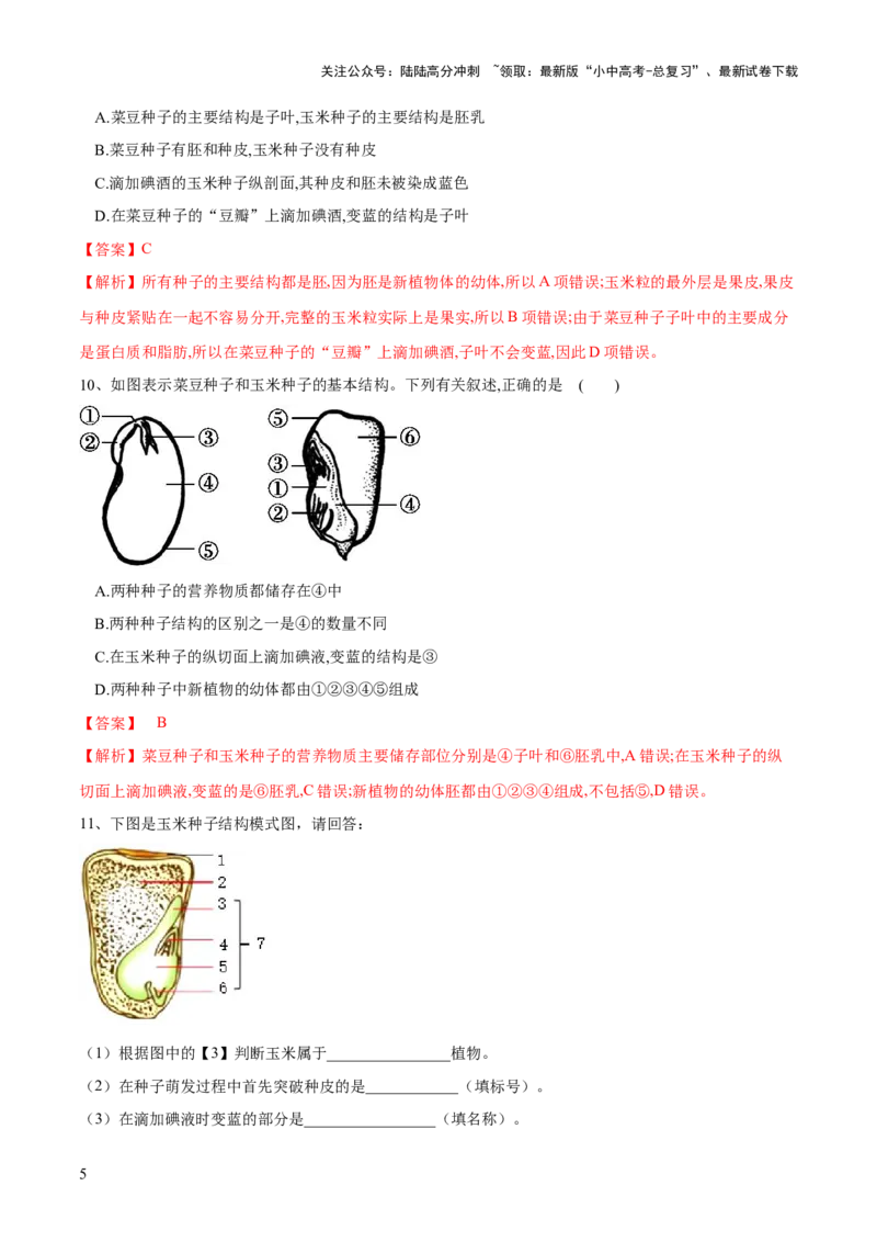 专题04生物圈中有哪些绿色植物（练习）（解析版）_02中考总复习（2026版更新中）_08-生物-中考总复习_2024年中考复习资料_一轮复习_❤2024年中考生物一轮复习讲练测（全国通用）_练习