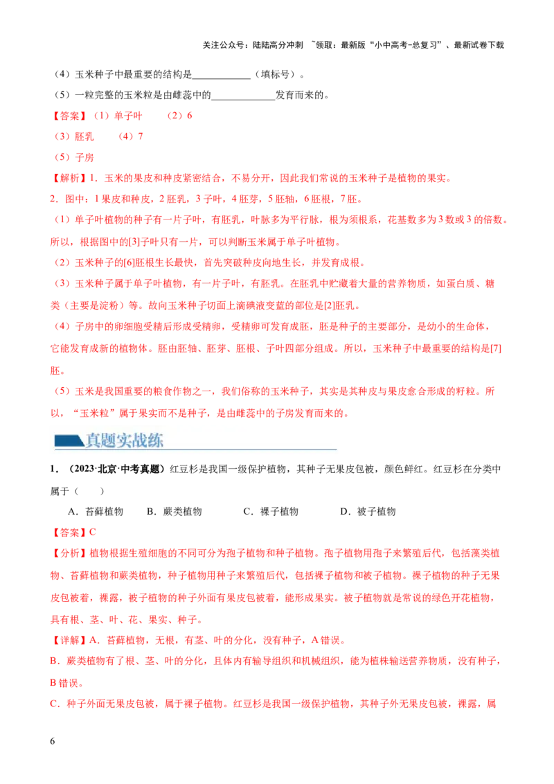 专题04生物圈中有哪些绿色植物（练习）（解析版）_02中考总复习（2026版更新中）_08-生物-中考总复习_2024年中考复习资料_一轮复习_❤2024年中考生物一轮复习讲练测（全国通用）_练习