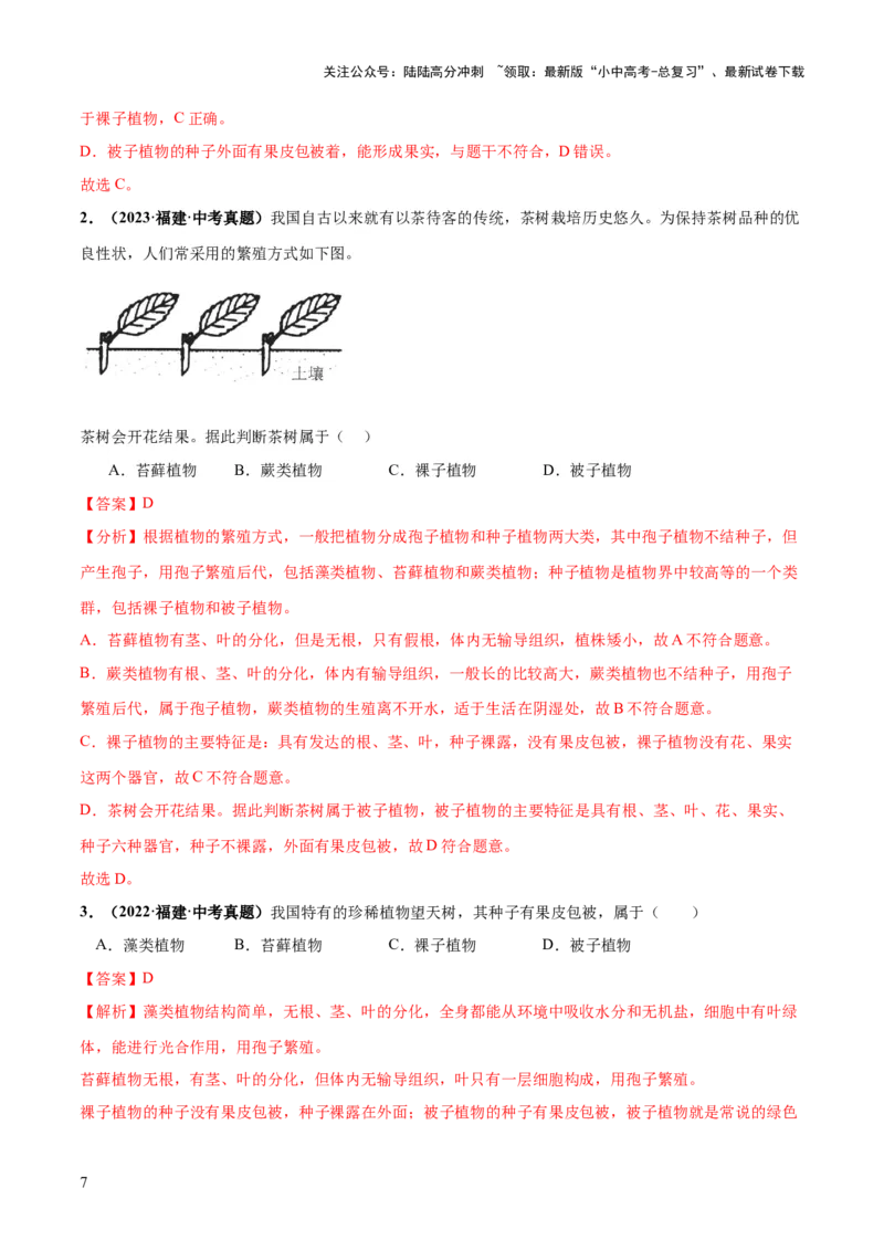 专题04生物圈中有哪些绿色植物（练习）（解析版）_02中考总复习（2026版更新中）_08-生物-中考总复习_2024年中考复习资料_一轮复习_❤2024年中考生物一轮复习讲练测（全国通用）_练习