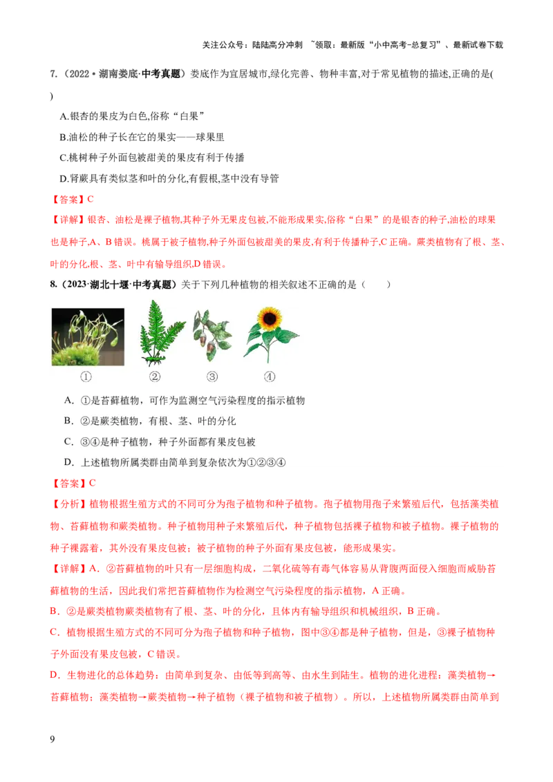 专题04生物圈中有哪些绿色植物（练习）（解析版）_02中考总复习（2026版更新中）_08-生物-中考总复习_2024年中考复习资料_一轮复习_❤2024年中考生物一轮复习讲练测（全国通用）_练习