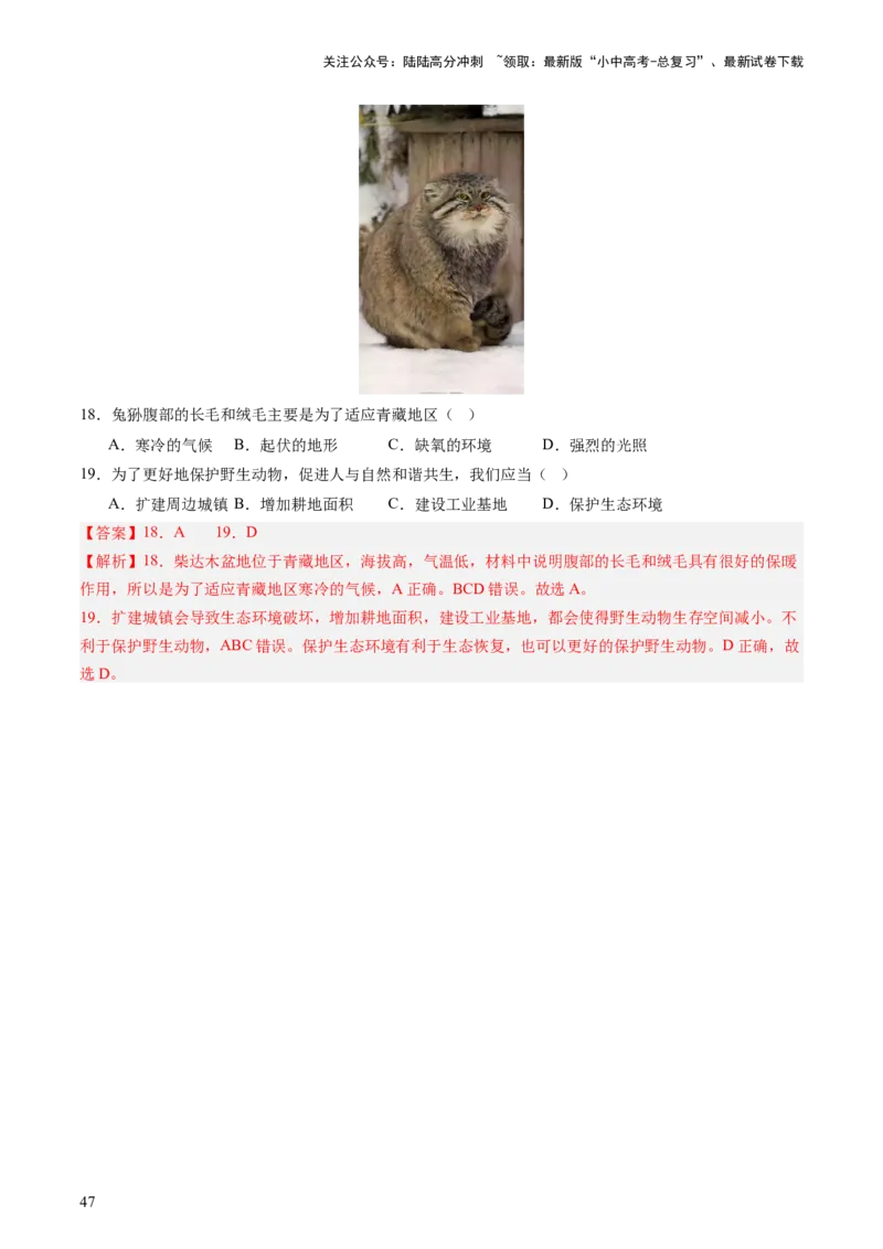 专题08区域差异与联系（讲练：核心精讲+命题预测）（解析版）_02中考总复习（2026版更新中）_09-地理-中考总复习_2025中考地理复习资料_2025中考二轮课件ppt+讲义+练习地理_讲义+练习