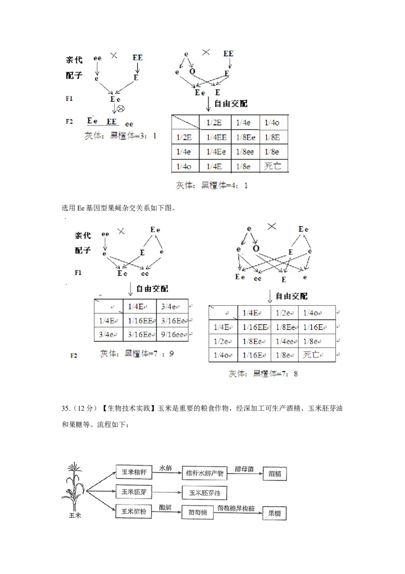 2014年高考真题生物（山东卷）（解析版）_全国卷+地方卷_6.生物_1.生物高考真题试卷_2008-2020年_地方卷_山东高考生物08-21_山东高考生物_A4版