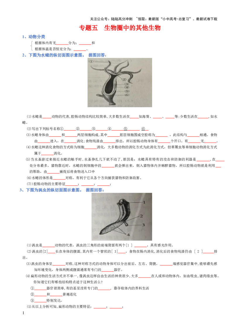 专题05生物圈中的其他生物（填空版）_02中考总复习（2026版更新中）_08-生物-中考总复习_2025中考复习资料_2025年中考生物知识梳理_专题05生物圈中的其他生物_专题05生物圈中的其他生物