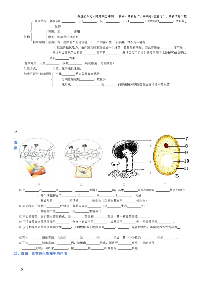 专题05生物圈中的其他生物（填空版）_02中考总复习（2026版更新中）_08-生物-中考总复习_2025中考复习资料_2025年中考生物知识梳理_专题05生物圈中的其他生物_专题05生物圈中的其他生物