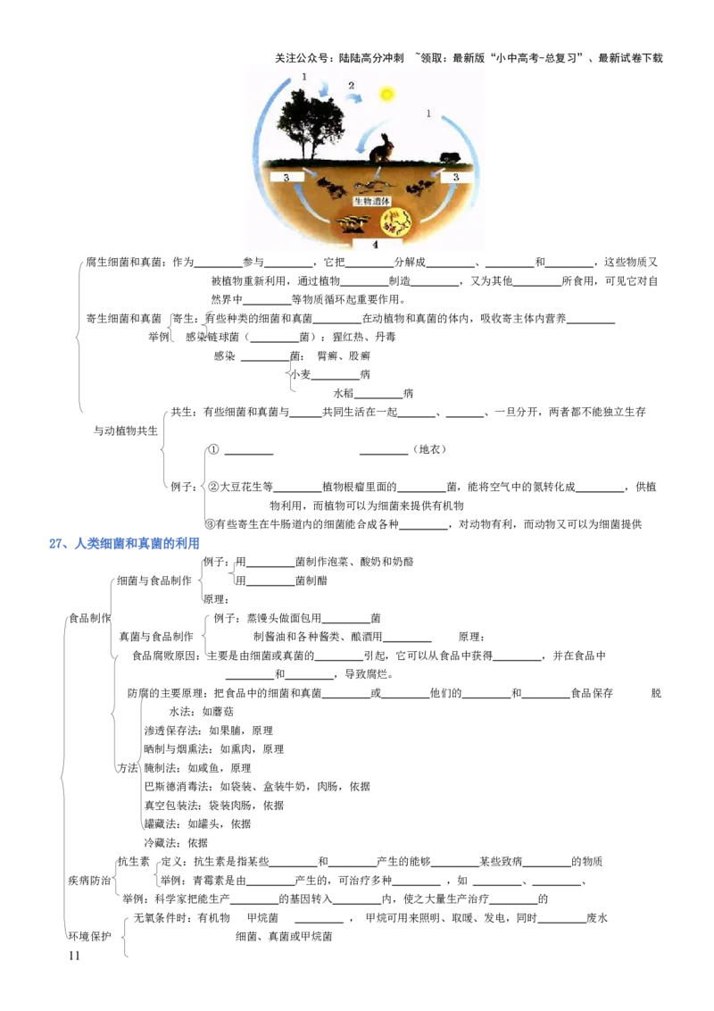 专题05生物圈中的其他生物（填空版）_02中考总复习（2026版更新中）_08-生物-中考总复习_2025中考复习资料_2025年中考生物知识梳理_专题05生物圈中的其他生物_专题05生物圈中的其他生物