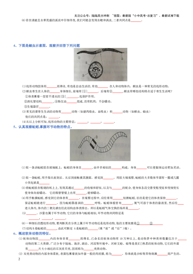 专题05生物圈中的其他生物（填空版）_02中考总复习（2026版更新中）_08-生物-中考总复习_2025中考复习资料_2025年中考生物知识梳理_专题05生物圈中的其他生物_专题05生物圈中的其他生物