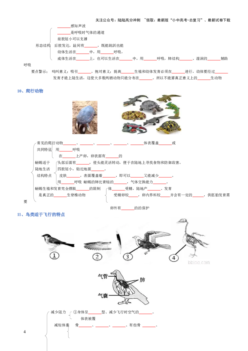 专题05生物圈中的其他生物（填空版）_02中考总复习（2026版更新中）_08-生物-中考总复习_2025中考复习资料_2025年中考生物知识梳理_专题05生物圈中的其他生物_专题05生物圈中的其他生物