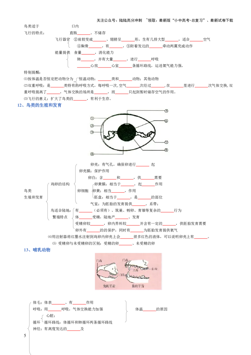 专题05生物圈中的其他生物（填空版）_02中考总复习（2026版更新中）_08-生物-中考总复习_2025中考复习资料_2025年中考生物知识梳理_专题05生物圈中的其他生物_专题05生物圈中的其他生物