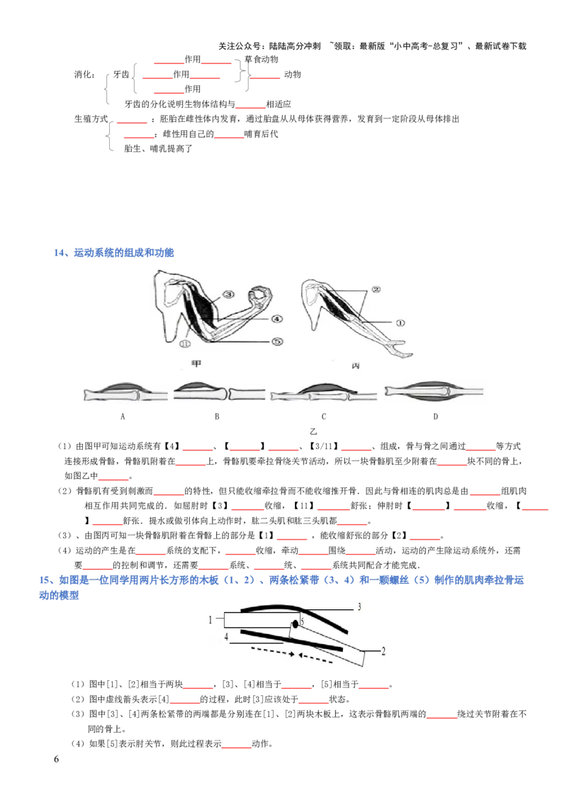 专题05生物圈中的其他生物（填空版）_02中考总复习（2026版更新中）_08-生物-中考总复习_2025中考复习资料_2025年中考生物知识梳理_专题05生物圈中的其他生物_专题05生物圈中的其他生物