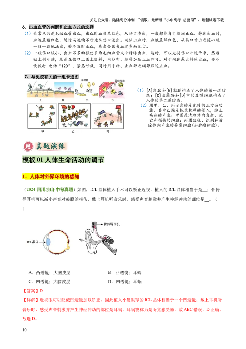 专题05人体生理与健康（二）（3大答题模板）（解析版）_02中考总复习（2026版更新中）_08-生物-中考总复习_2025中考复习资料_2025年中考生物答题方法模板