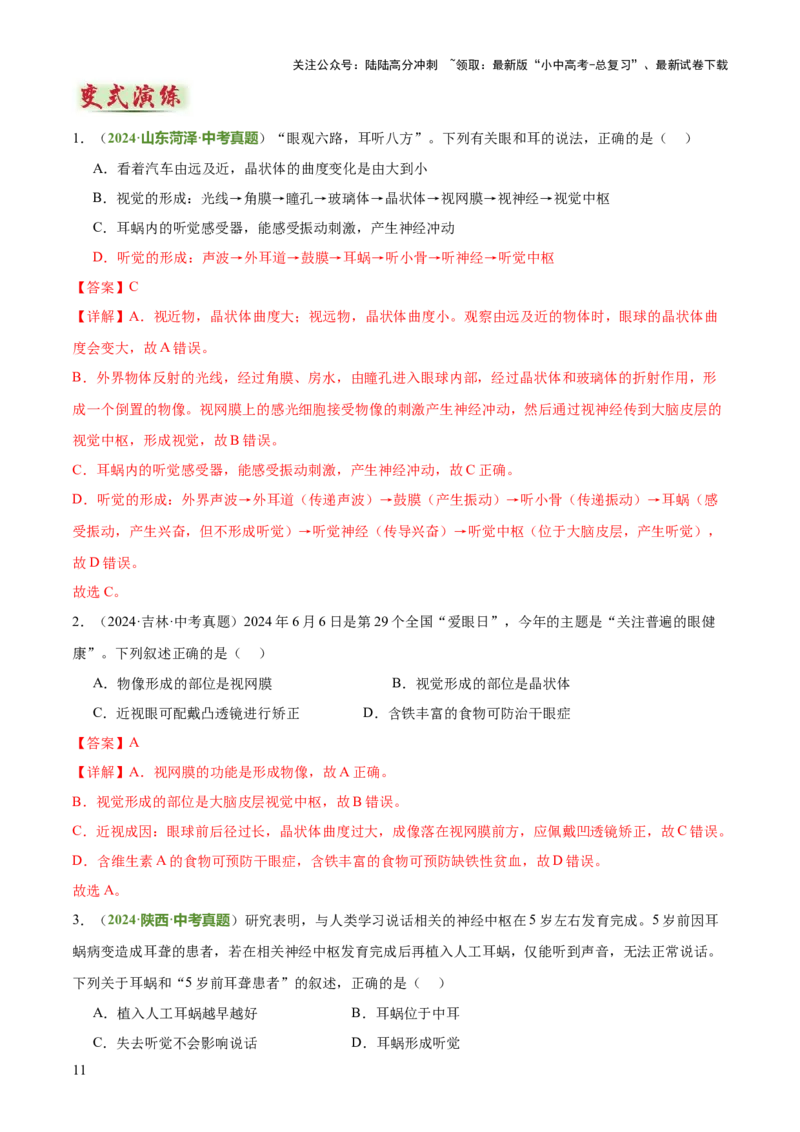 专题05人体生理与健康（二）（3大答题模板）（解析版）_02中考总复习（2026版更新中）_08-生物-中考总复习_2025中考复习资料_2025年中考生物答题方法模板