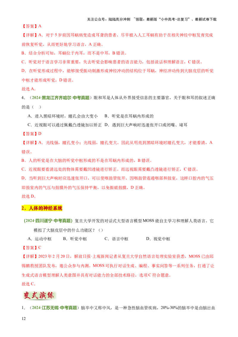 专题05人体生理与健康（二）（3大答题模板）（解析版）_02中考总复习（2026版更新中）_08-生物-中考总复习_2025中考复习资料_2025年中考生物答题方法模板