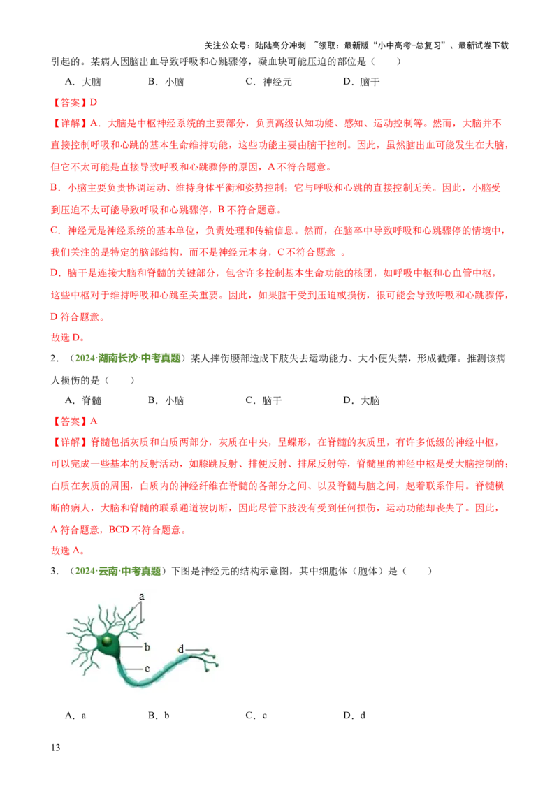专题05人体生理与健康（二）（3大答题模板）（解析版）_02中考总复习（2026版更新中）_08-生物-中考总复习_2025中考复习资料_2025年中考生物答题方法模板
