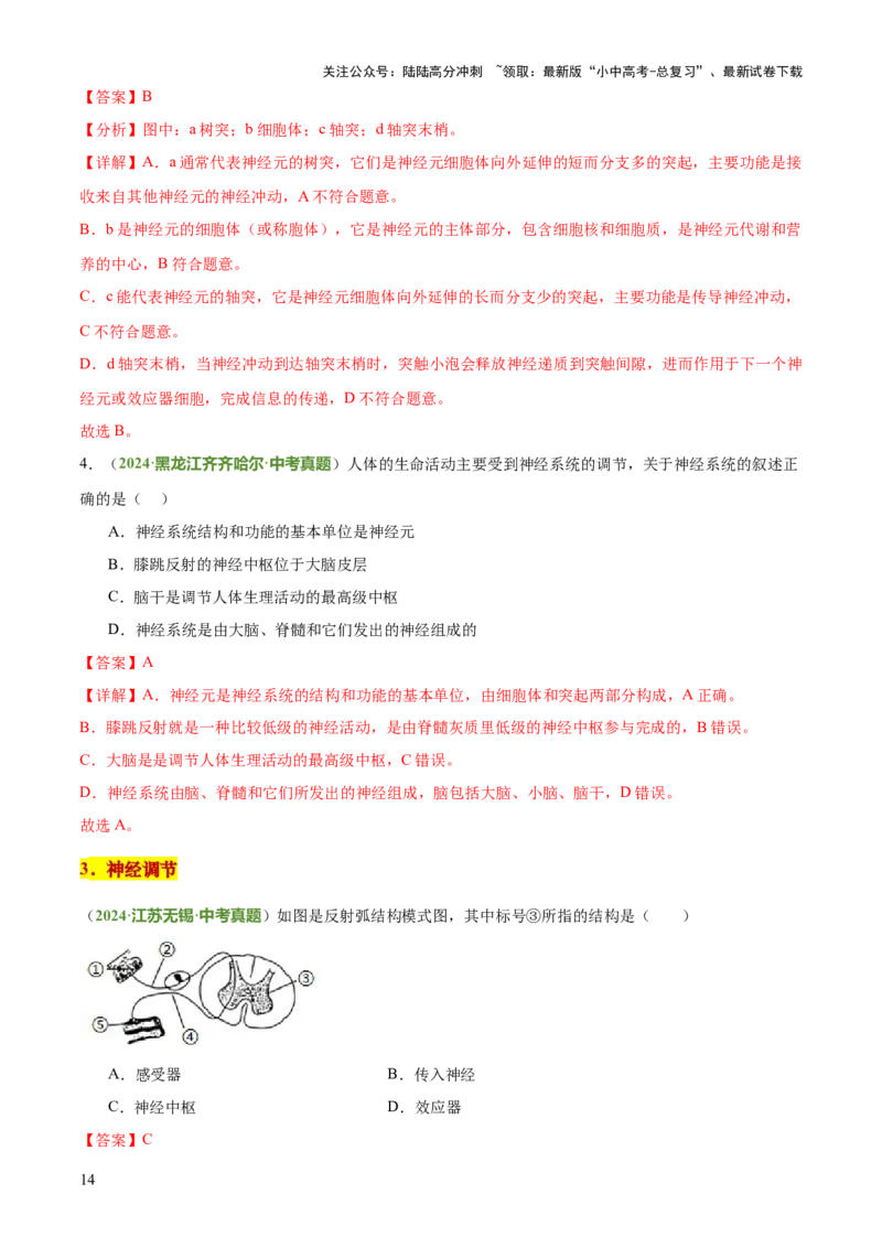 专题05人体生理与健康（二）（3大答题模板）（解析版）_02中考总复习（2026版更新中）_08-生物-中考总复习_2025中考复习资料_2025年中考生物答题方法模板