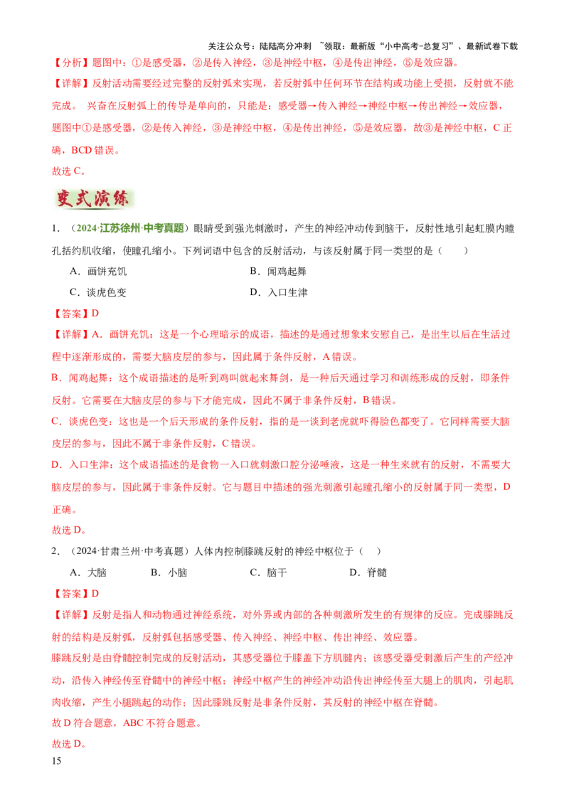 专题05人体生理与健康（二）（3大答题模板）（解析版）_02中考总复习（2026版更新中）_08-生物-中考总复习_2025中考复习资料_2025年中考生物答题方法模板