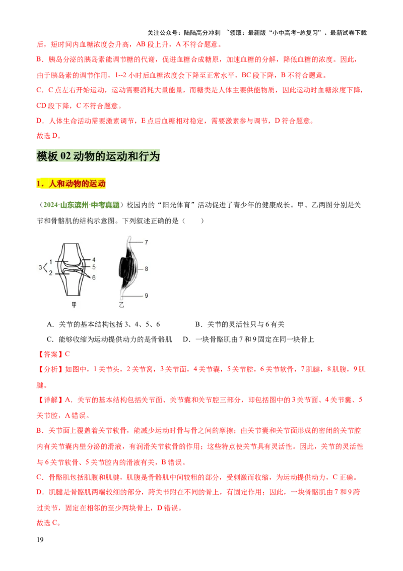 专题05人体生理与健康（二）（3大答题模板）（解析版）_02中考总复习（2026版更新中）_08-生物-中考总复习_2025中考复习资料_2025年中考生物答题方法模板