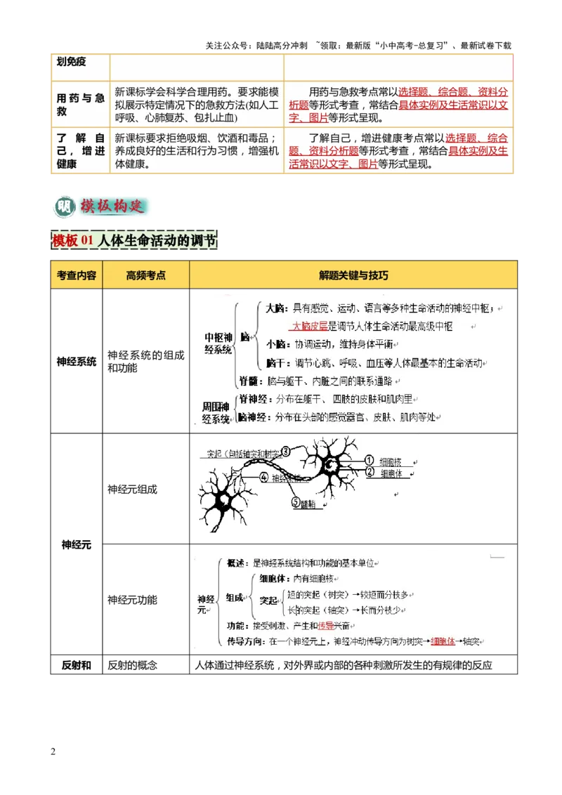 专题05人体生理与健康（二）（3大答题模板）（解析版）_02中考总复习（2026版更新中）_08-生物-中考总复习_2025中考复习资料_2025年中考生物答题方法模板