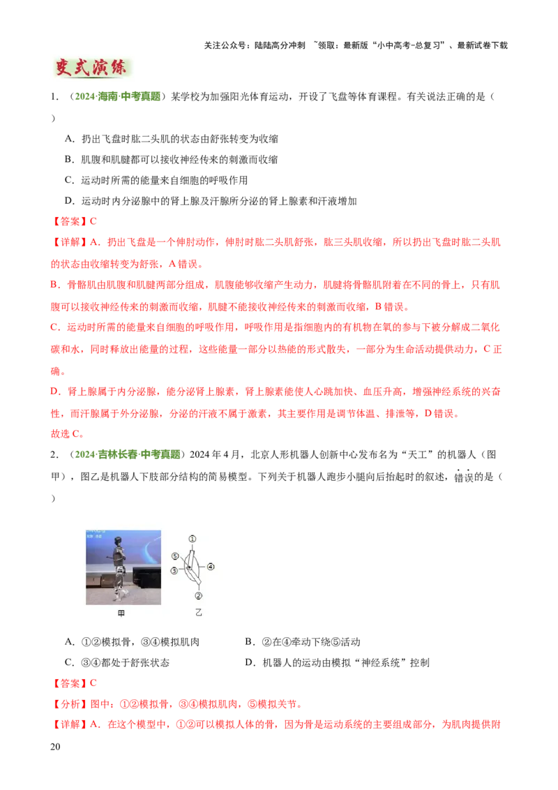 专题05人体生理与健康（二）（3大答题模板）（解析版）_02中考总复习（2026版更新中）_08-生物-中考总复习_2025中考复习资料_2025年中考生物答题方法模板