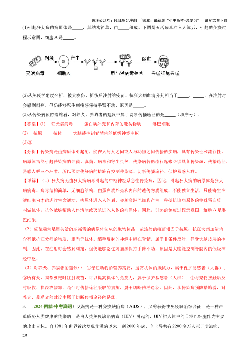 专题05人体生理与健康（二）（3大答题模板）（解析版）_02中考总复习（2026版更新中）_08-生物-中考总复习_2025中考复习资料_2025年中考生物答题方法模板