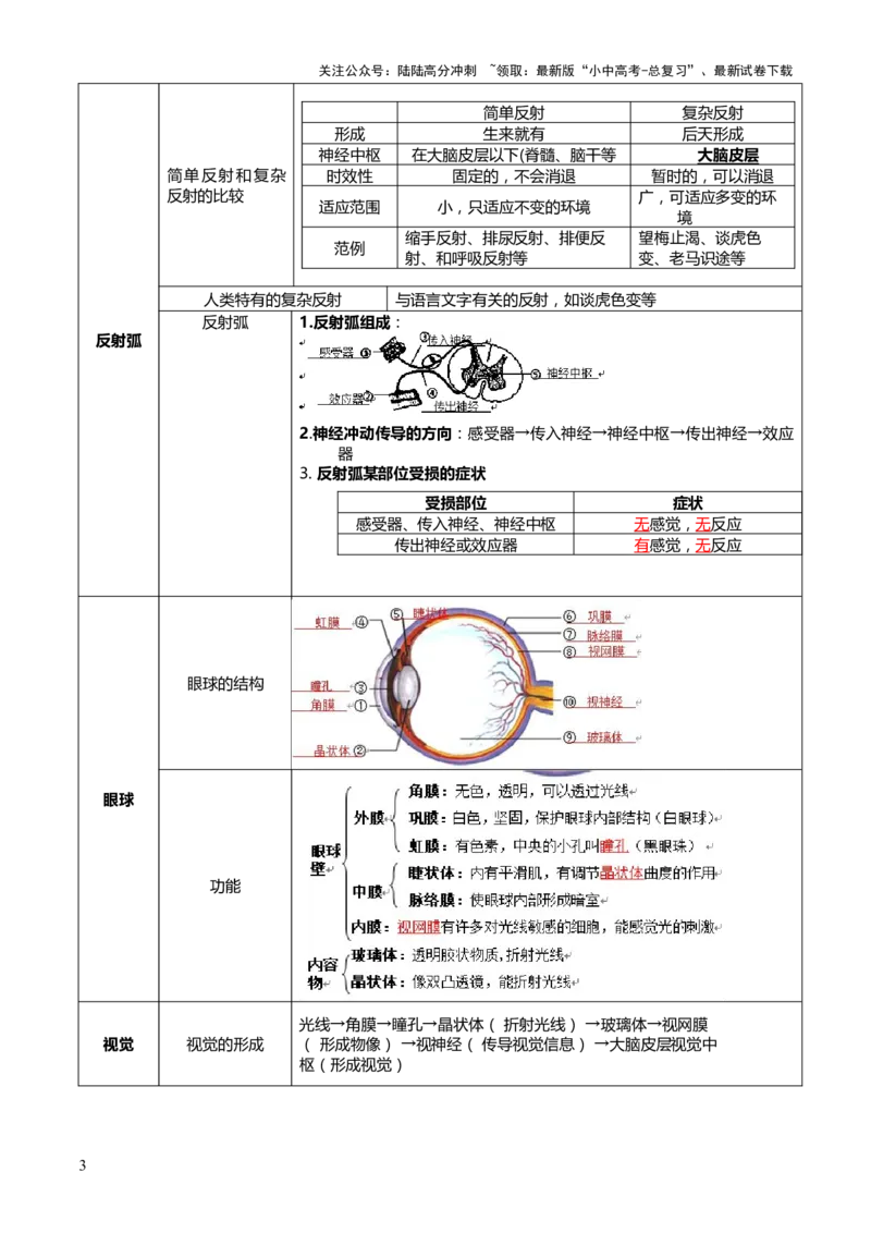 专题05人体生理与健康（二）（3大答题模板）（解析版）_02中考总复习（2026版更新中）_08-生物-中考总复习_2025中考复习资料_2025年中考生物答题方法模板