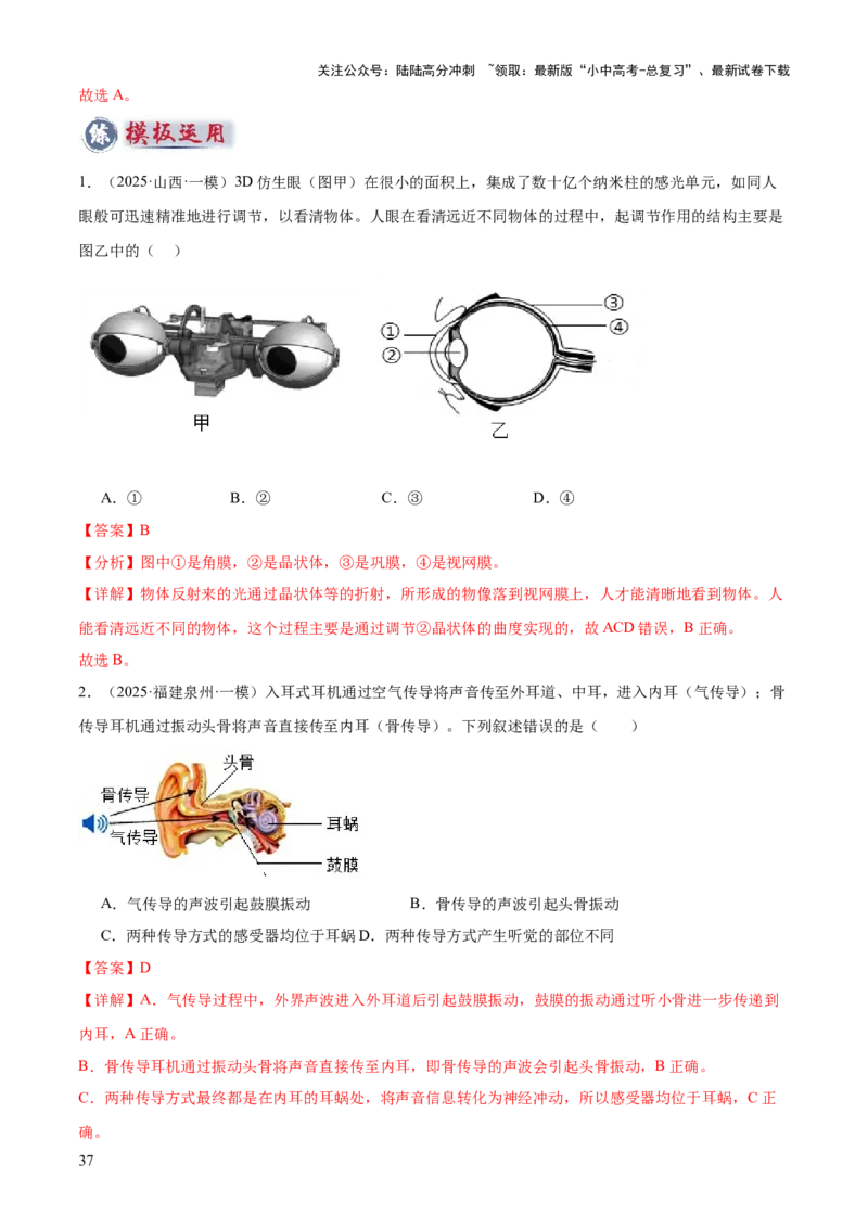 专题05人体生理与健康（二）（3大答题模板）（解析版）_02中考总复习（2026版更新中）_08-生物-中考总复习_2025中考复习资料_2025年中考生物答题方法模板