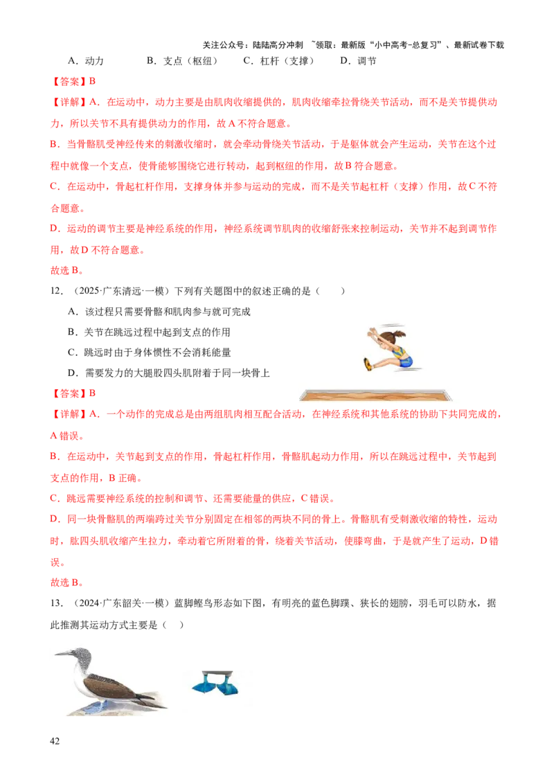 专题05人体生理与健康（二）（3大答题模板）（解析版）_02中考总复习（2026版更新中）_08-生物-中考总复习_2025中考复习资料_2025年中考生物答题方法模板