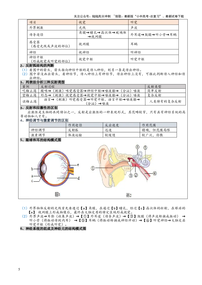 专题05人体生理与健康（二）（3大答题模板）（解析版）_02中考总复习（2026版更新中）_08-生物-中考总复习_2025中考复习资料_2025年中考生物答题方法模板