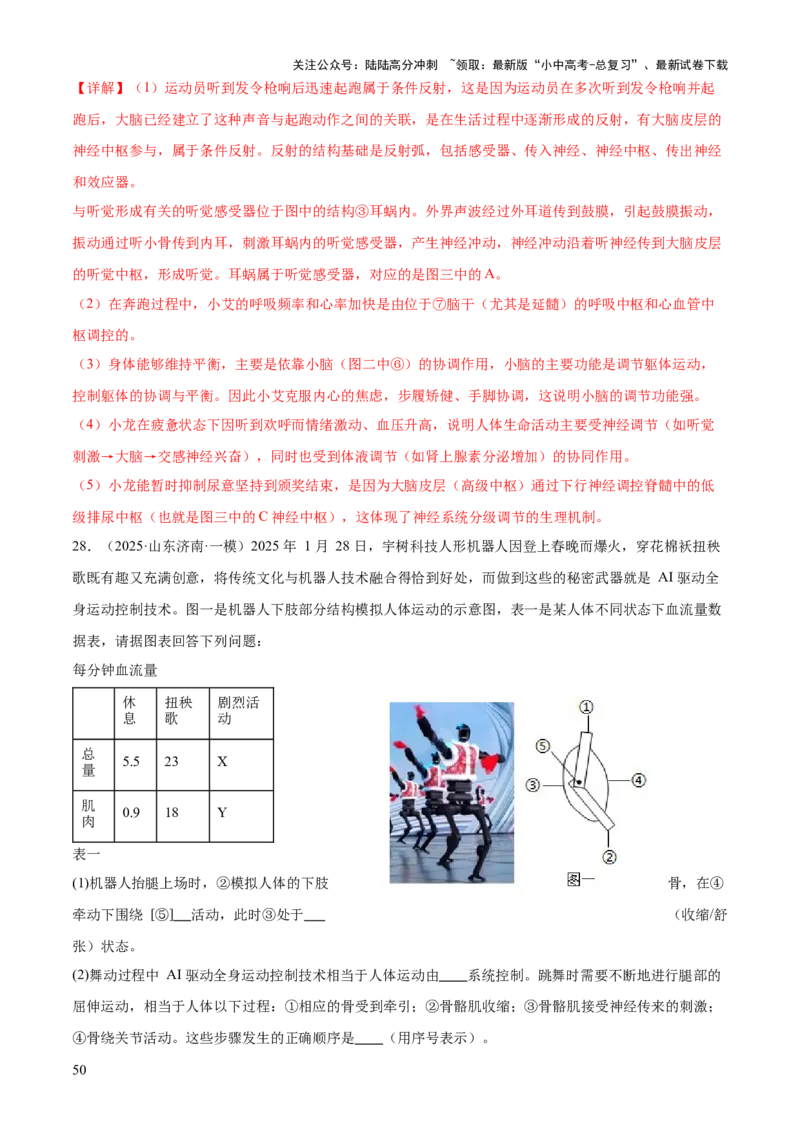 专题05人体生理与健康（二）（3大答题模板）（解析版）_02中考总复习（2026版更新中）_08-生物-中考总复习_2025中考复习资料_2025年中考生物答题方法模板