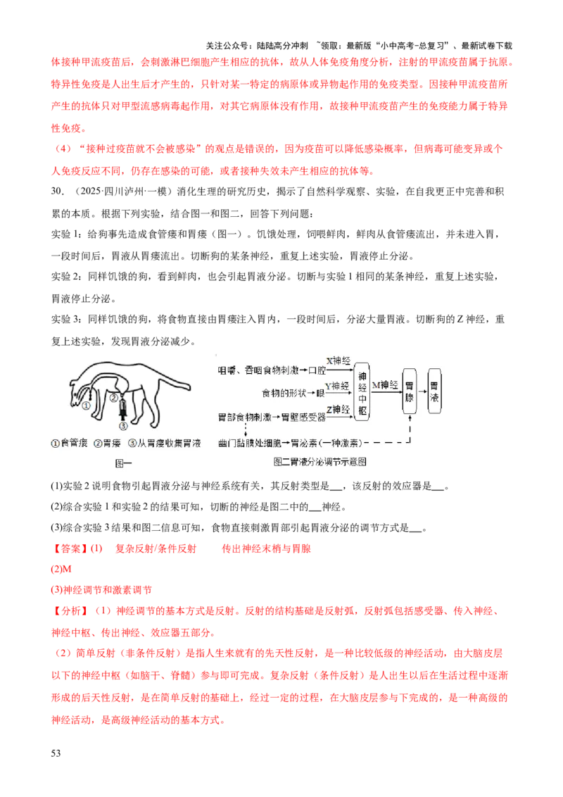 专题05人体生理与健康（二）（3大答题模板）（解析版）_02中考总复习（2026版更新中）_08-生物-中考总复习_2025中考复习资料_2025年中考生物答题方法模板
