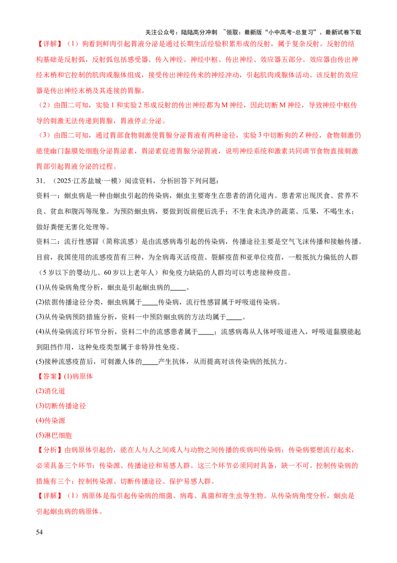 专题05人体生理与健康（二）（3大答题模板）（解析版）_02中考总复习（2026版更新中）_08-生物-中考总复习_2025中考复习资料_2025年中考生物答题方法模板