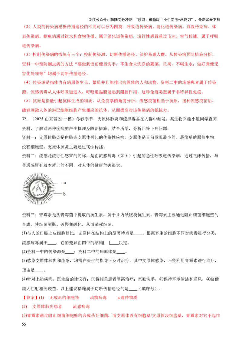 专题05人体生理与健康（二）（3大答题模板）（解析版）_02中考总复习（2026版更新中）_08-生物-中考总复习_2025中考复习资料_2025年中考生物答题方法模板