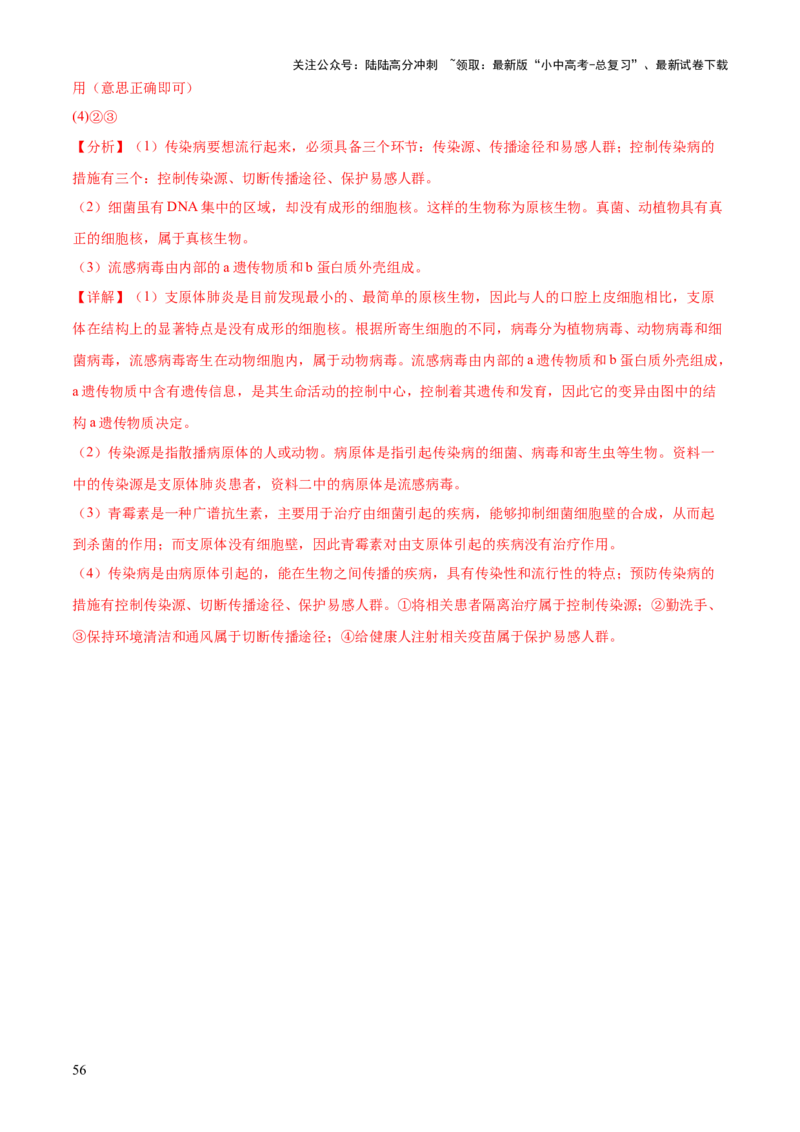 专题05人体生理与健康（二）（3大答题模板）（解析版）_02中考总复习（2026版更新中）_08-生物-中考总复习_2025中考复习资料_2025年中考生物答题方法模板