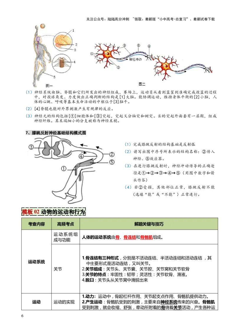 专题05人体生理与健康（二）（3大答题模板）（解析版）_02中考总复习（2026版更新中）_08-生物-中考总复习_2025中考复习资料_2025年中考生物答题方法模板