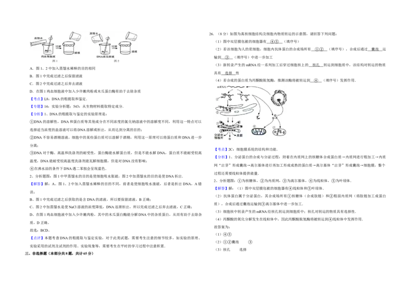 2015年江苏省高考生物试卷解析版_全国卷+地方卷_6.生物_1.生物高考真题试卷_2008-2020年_地方卷_江苏高考生物07-20_A3word版